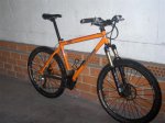 Peon Enero 06 003 (Medium).jpg