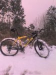 portillas specialized.jpg