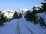 Nieve 015.jpg