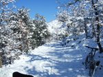 2007_0127neu0025.JPG