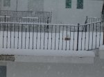DSC02141.jpg