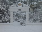 DSC02140.jpg