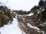 DSCF0211 (Medium).JPG