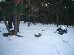 P0000010_redimensionar.JPG