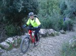 dsc03513.jpg