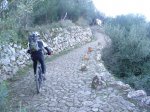 dsc03518.jpg
