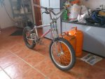 dsc0087oe.jpg