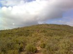 Imagen0616.jpg