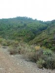 Imagen0593.jpg
