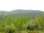Imagen0597.jpg