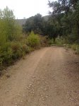 Imagen0601.jpg