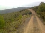 Imagen0603.jpg