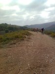 Imagen0608.jpg