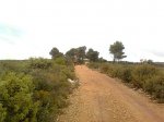 Imagen0611.jpg