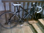 Chinarello2.jpg