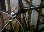chinarello6.jpg