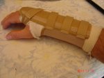 DSC08350 (Copiar).JPG