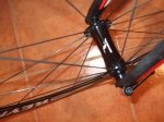 2011_1031reynolds0003.JPG