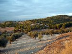 100_9033.JPG