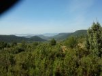 2011-08-06 10.23.17.jpg