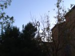 Ruta 10-11-2011 (19).jpg
