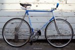 moser1a.jpg