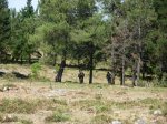 DSCN0796.jpg