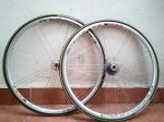 campagnolo11.jpg