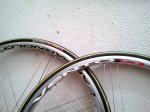 campagnolo22.jpg