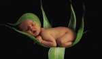 bebe-durmiendo.jpg