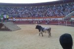 11092011540 (Copiar).JPG