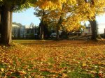 DSC02236.JPG