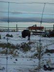 DSC02295.JPG