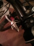 IMAG0554.jpg