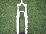 100_1019.JPG
