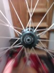 IMAG0313_redimensionar.jpg
