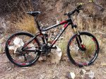 Trex ex 6.jpg