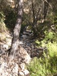 Imagen 063.jpg