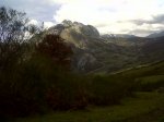 IMG00091-20111112-1147.jpg
