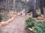DSCF2036.jpg