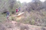 IMAG0077.jpg