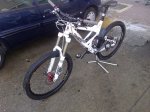 scott (1).jpg