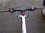 scott (7).jpg