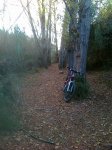 121120111207.jpg