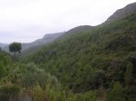 P1015812.JPG