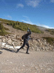BOLA VAAA.gif
