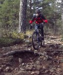 100_53291.JPG