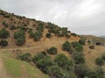 IMG_4334.jpg