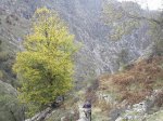 100_2236.JPG