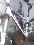 IMAG0160.jpg